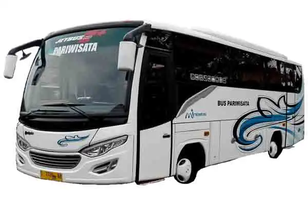 bigbus bigbus